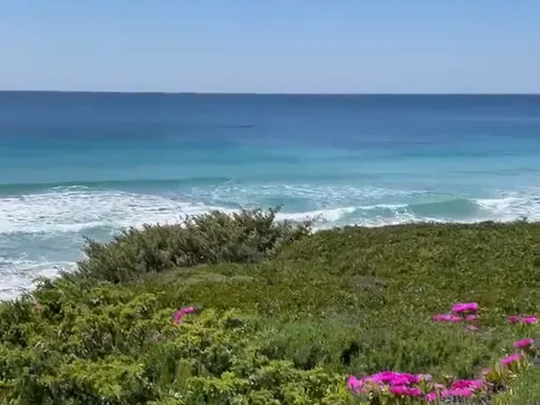 Turquoise sea and flowering dunes on the Ionian coast