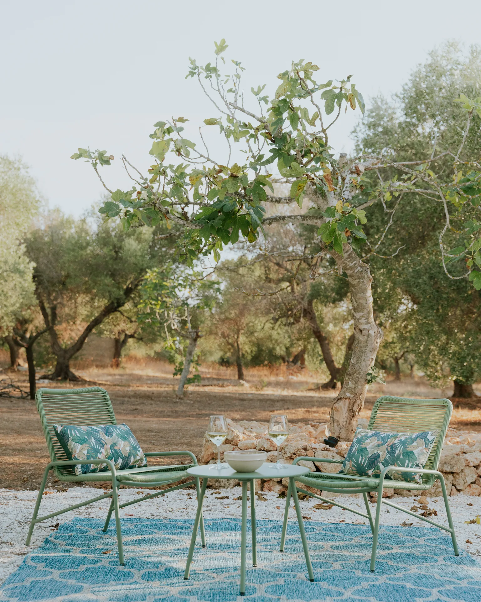 Garden chairs and a small table under the olive and fig trees