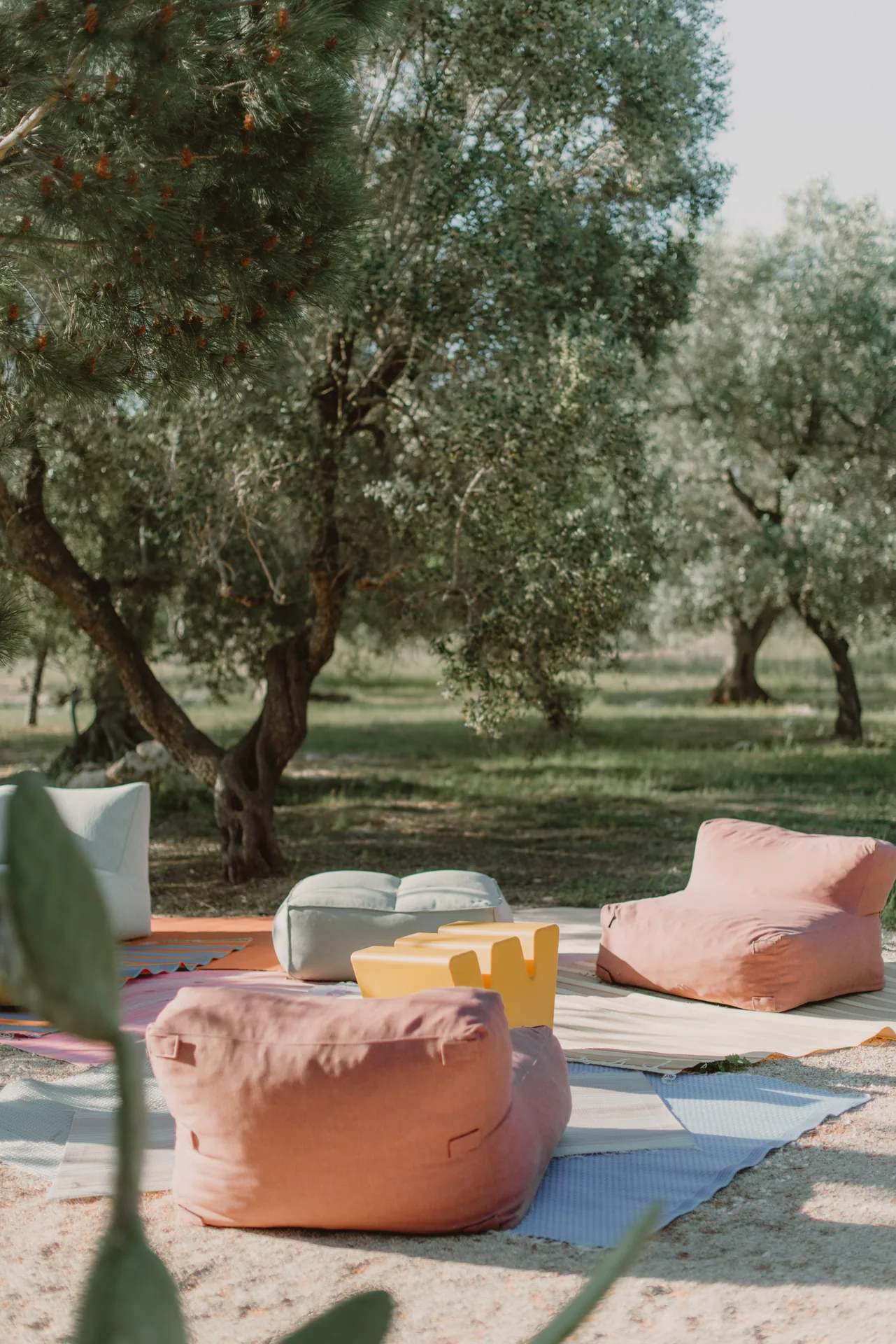 Soft outdoor seats among the olive trees