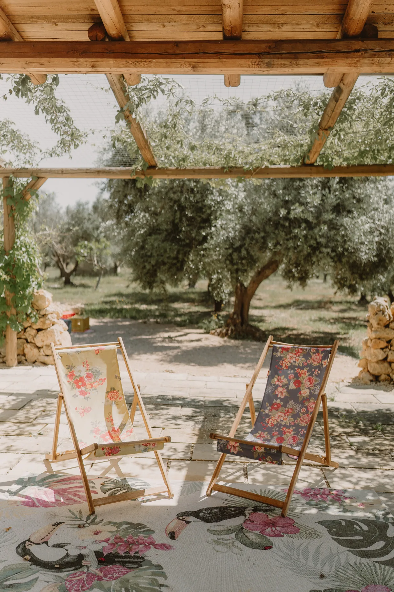 Deckchairs and a rug under the pergola, facing the olive trees