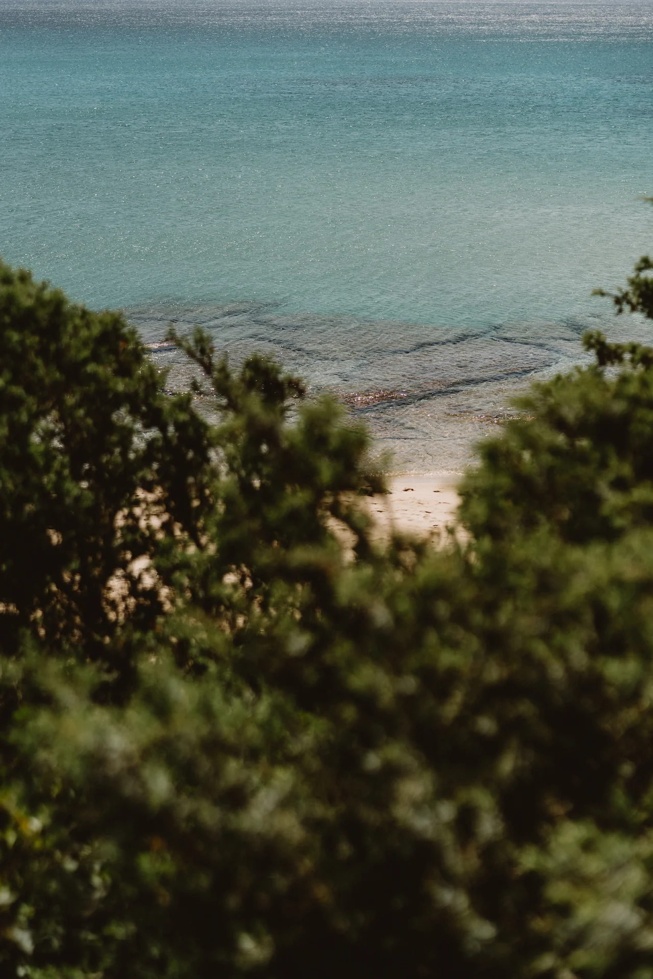 La mer, au-delà du maquis.