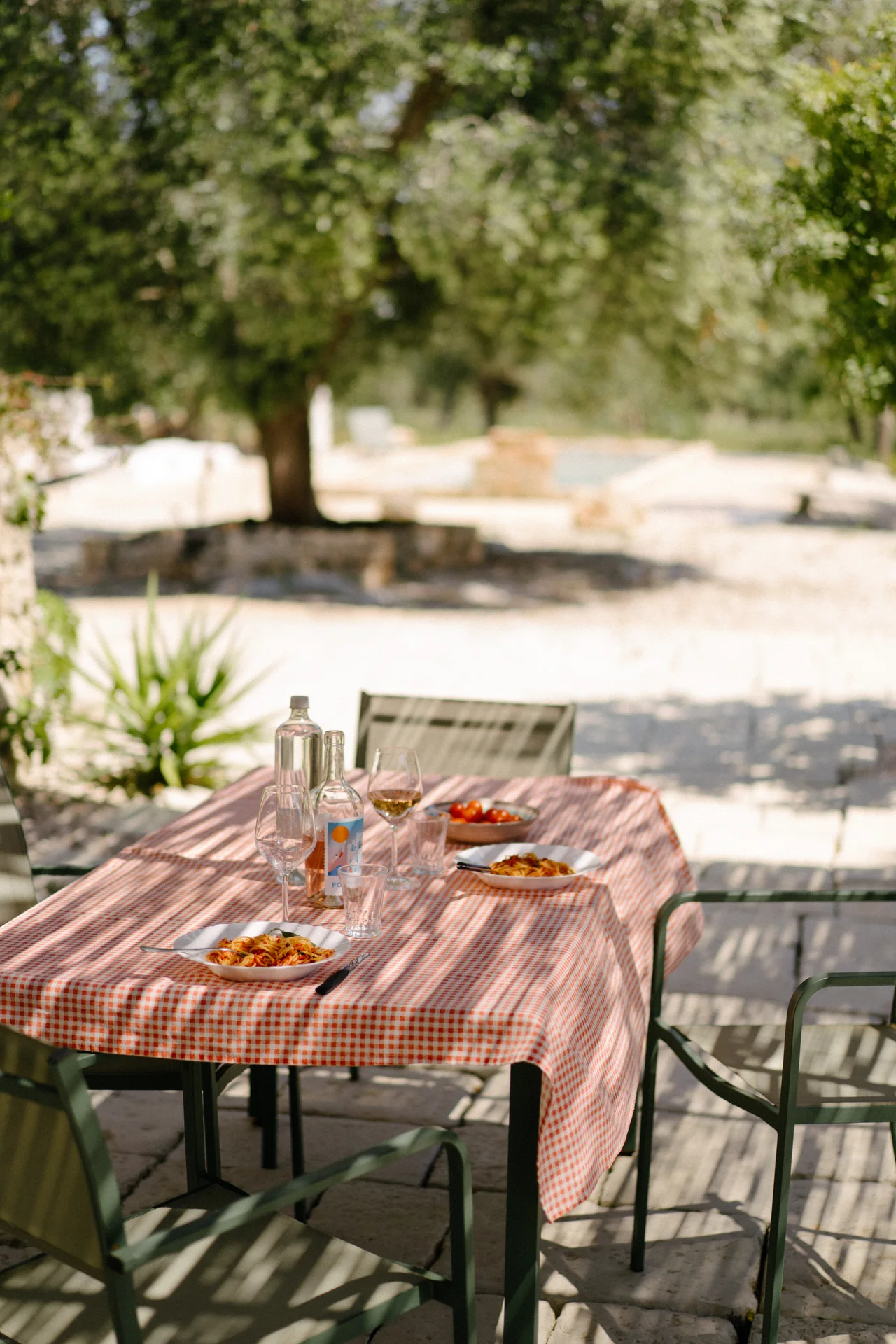 A table set for lunch beneath the pergola, facing the olive grove
