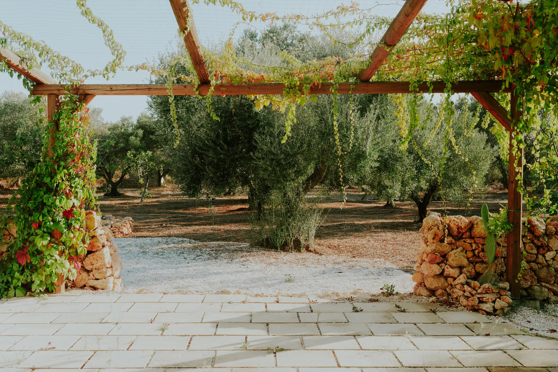 The pergola opening onto the olive grove