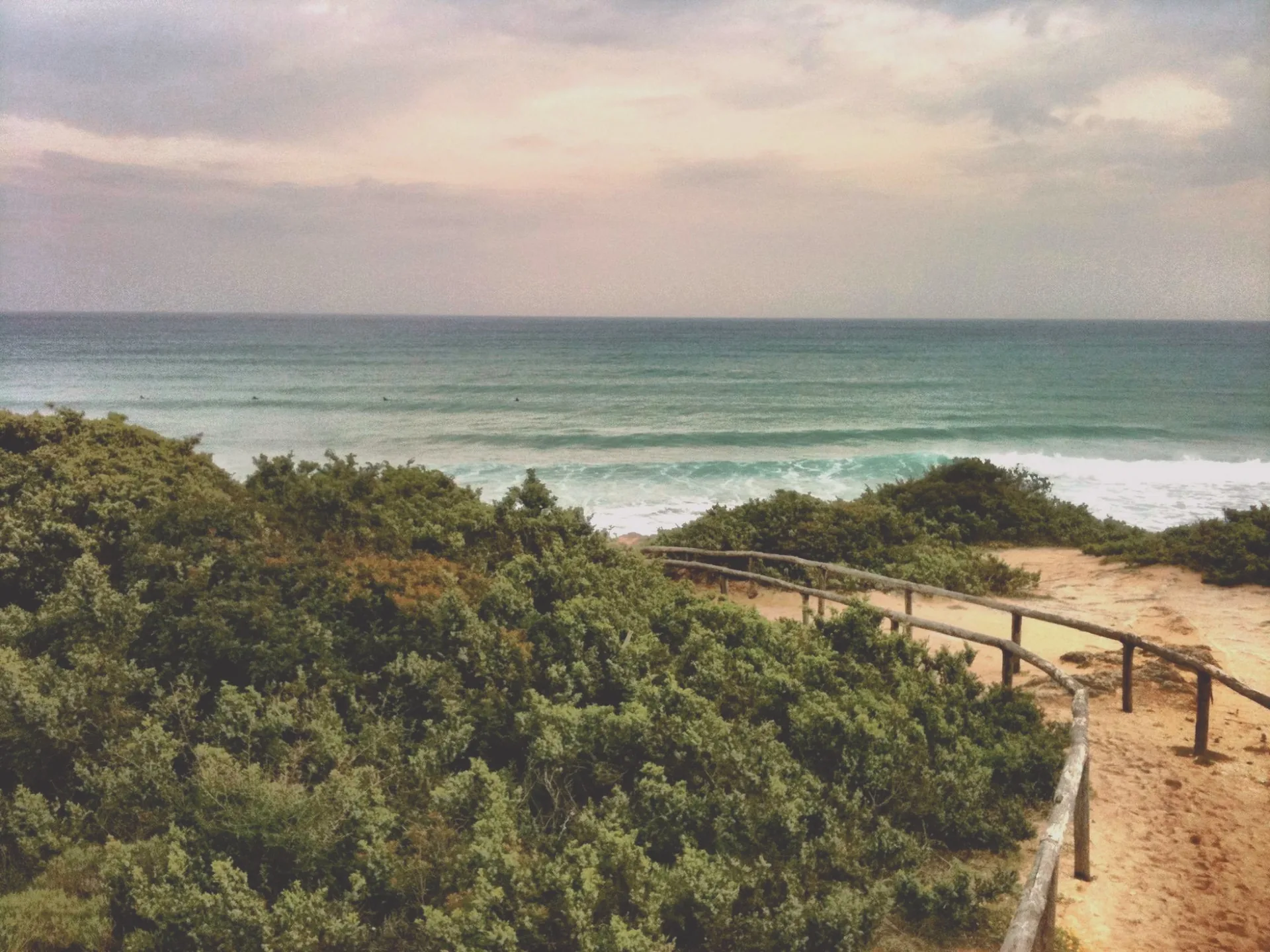 Lungo la costa, fra la macchia e il mare.