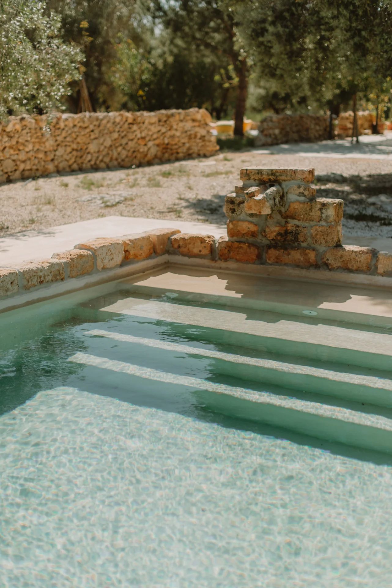 Stone steps into the private pool, with olive trees beyond