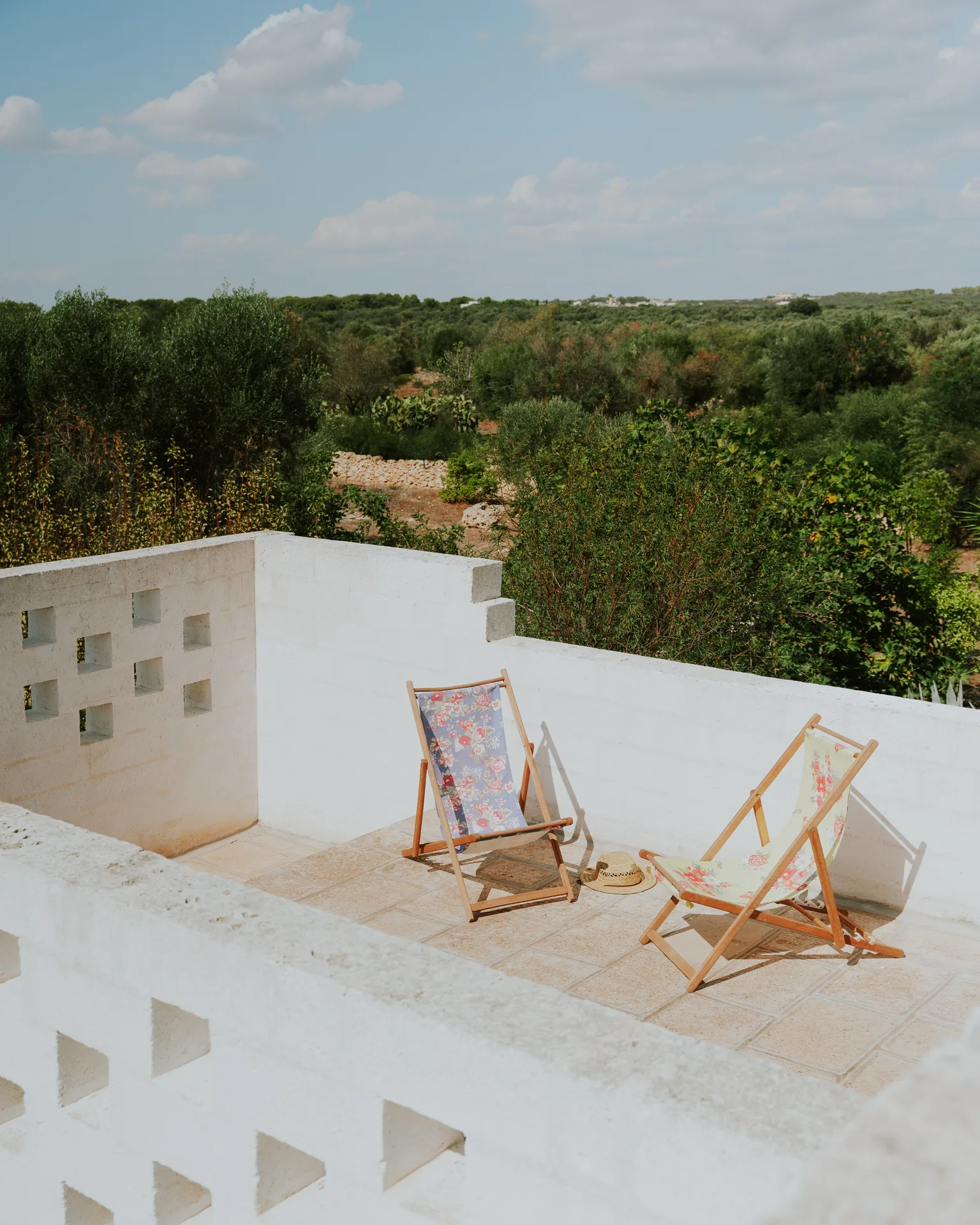 Two deckchairs on the roof terrace, above the olive groves