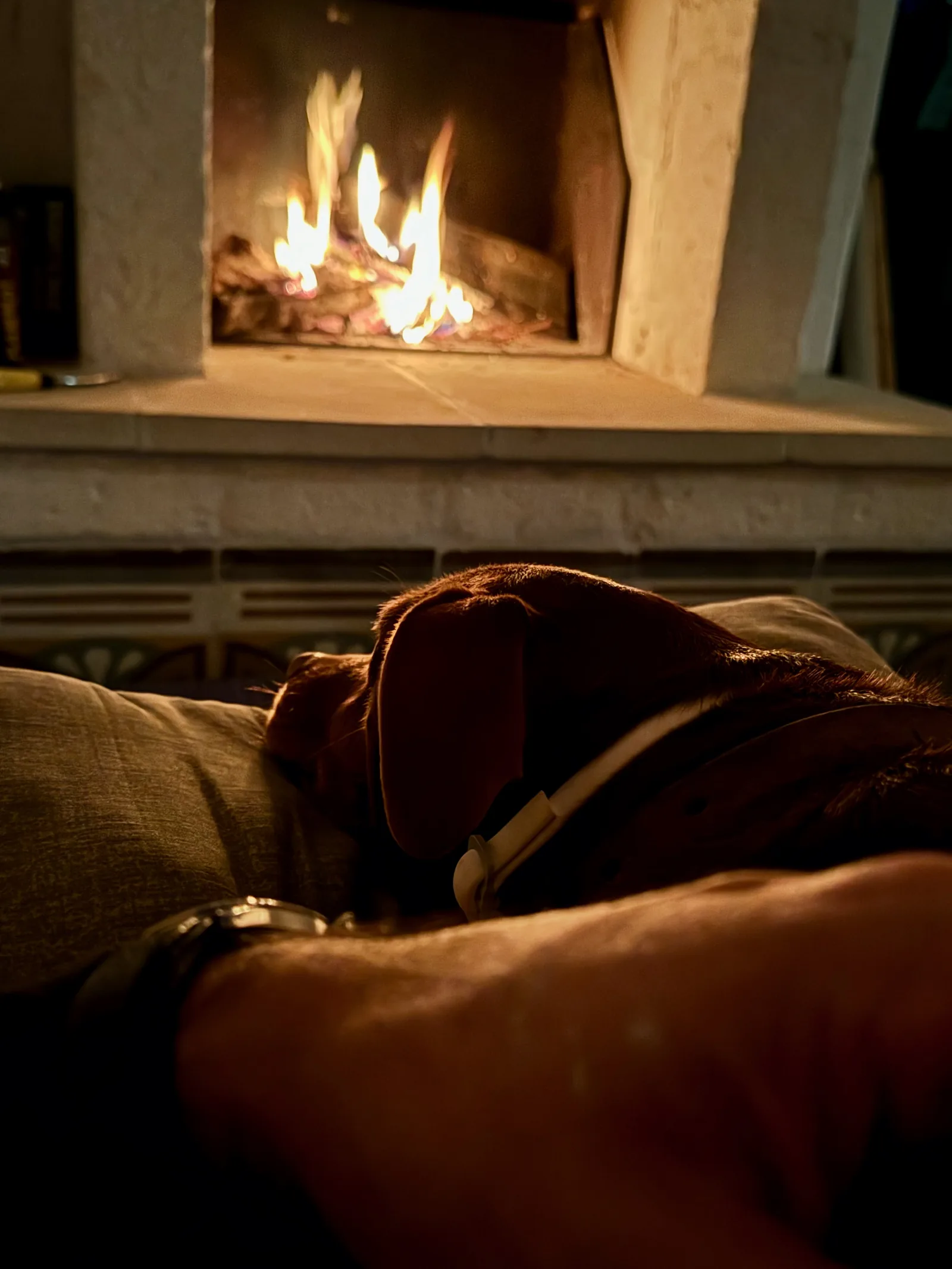 The lit fireplace in the living room on a winter evening